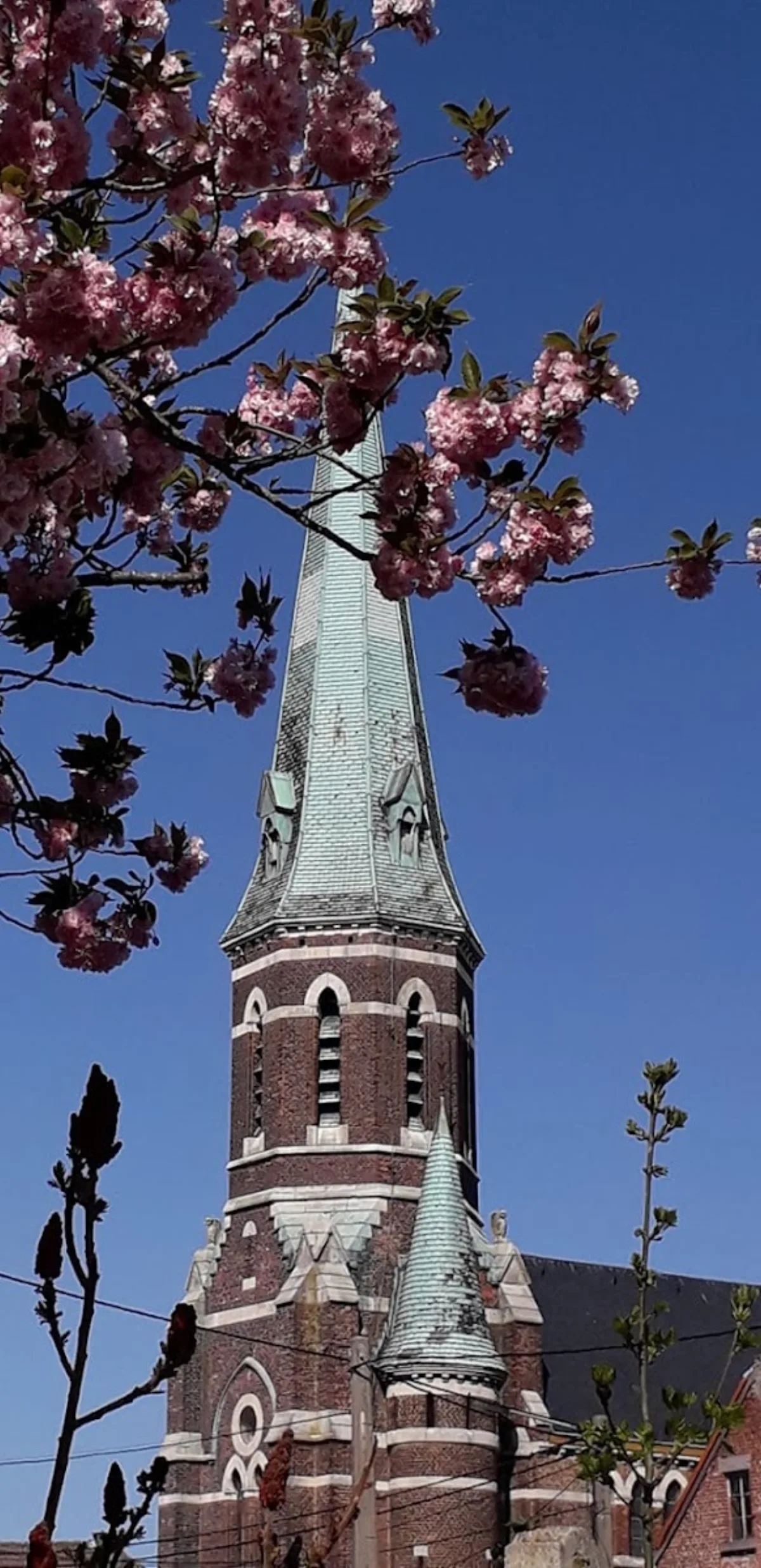 Saint-Martin Hyon, Hyon