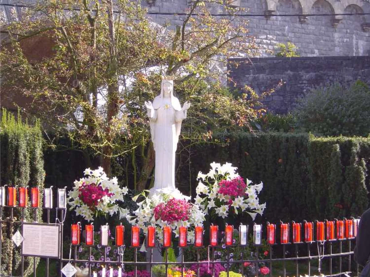 Aubépine, Beauraing