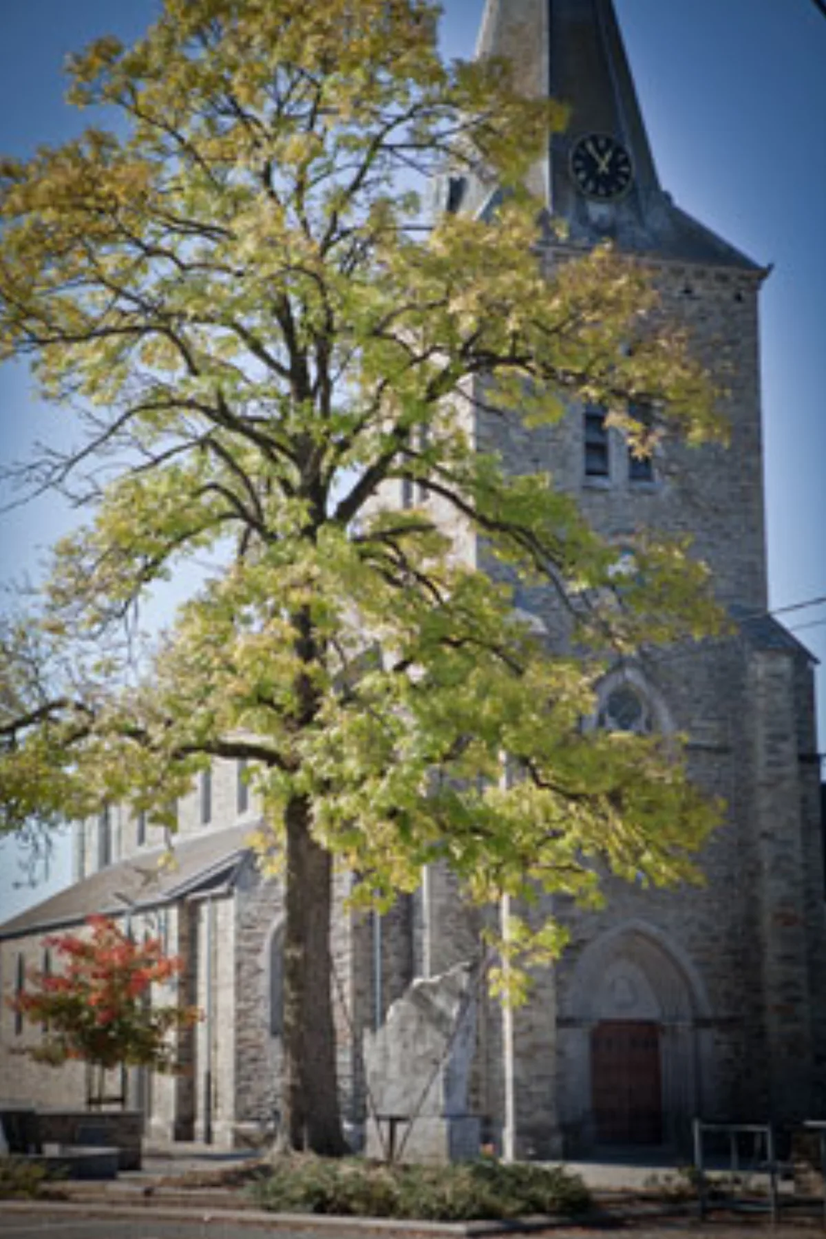 Saint-Hubert, Bièvre