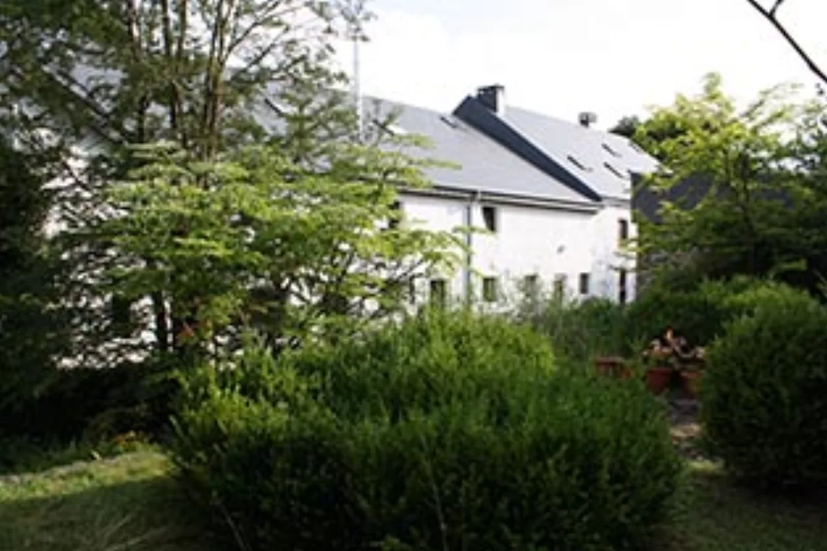 Les frênes, Fauvillers