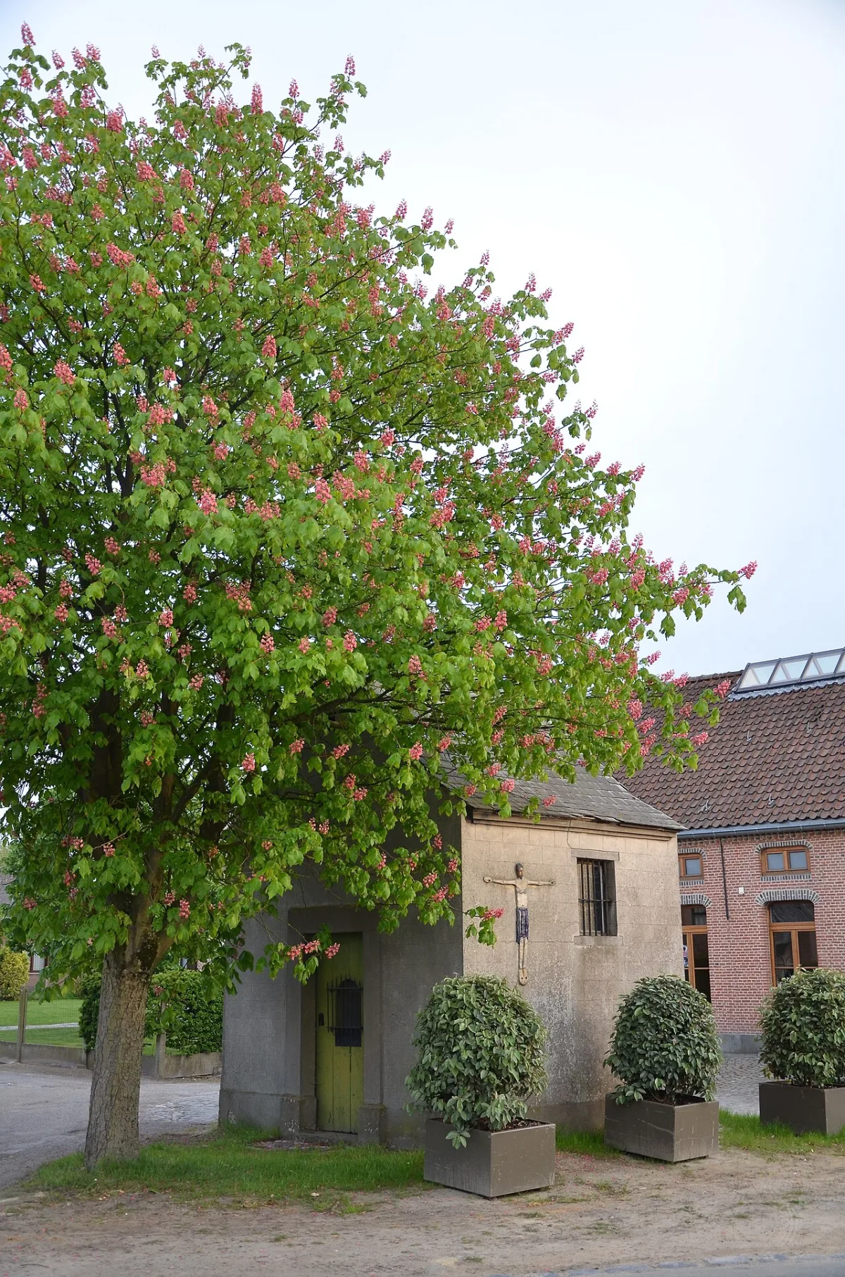 Sint-Jozefkapel (Leest), Mechelen