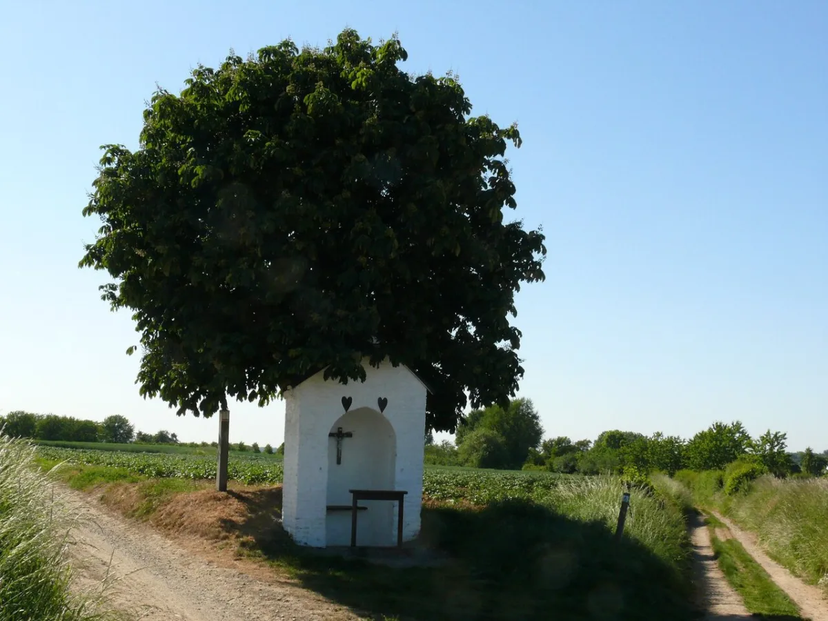 Wittekapel, Voeren