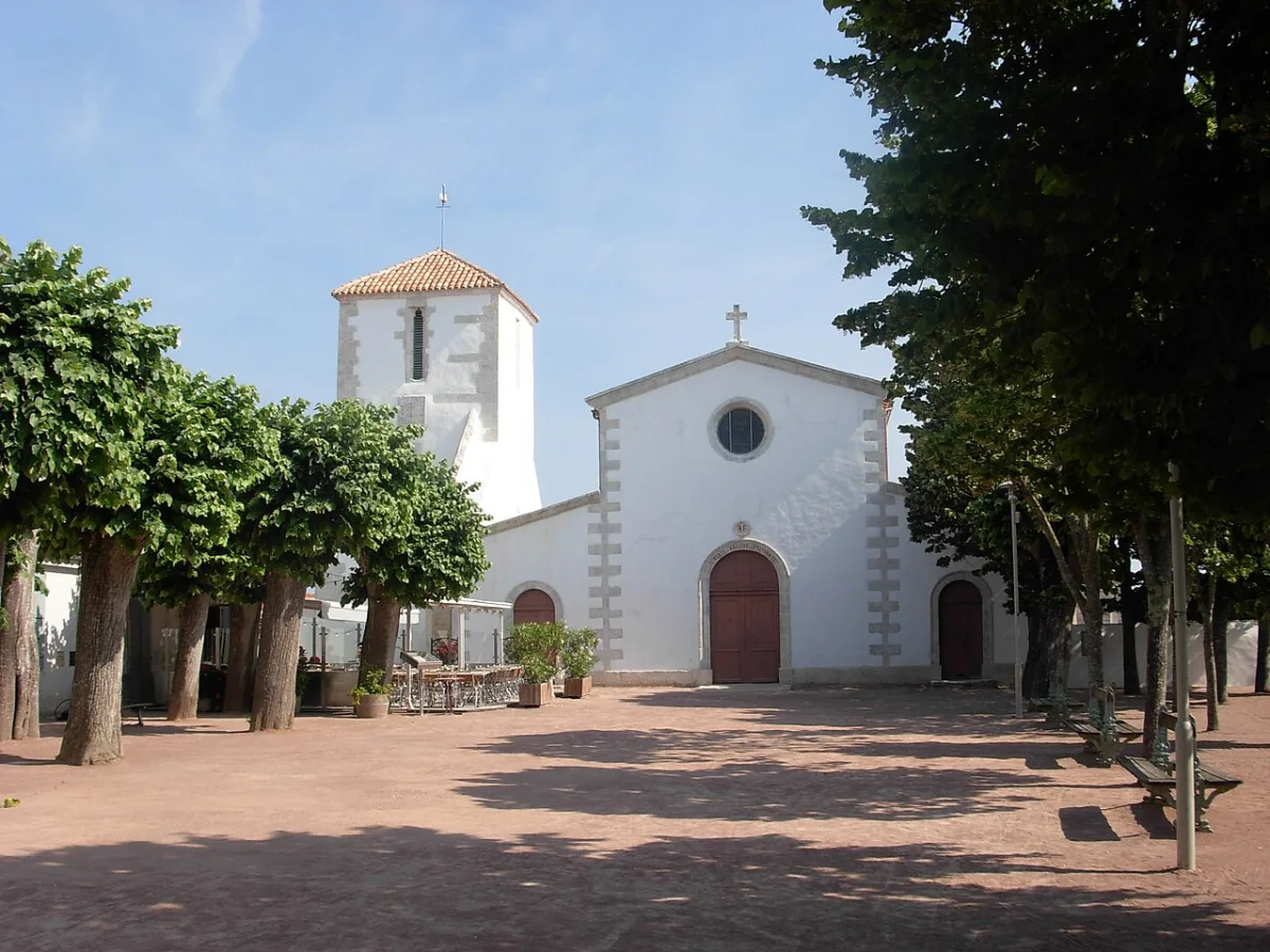 Sainte Catherine, Loix