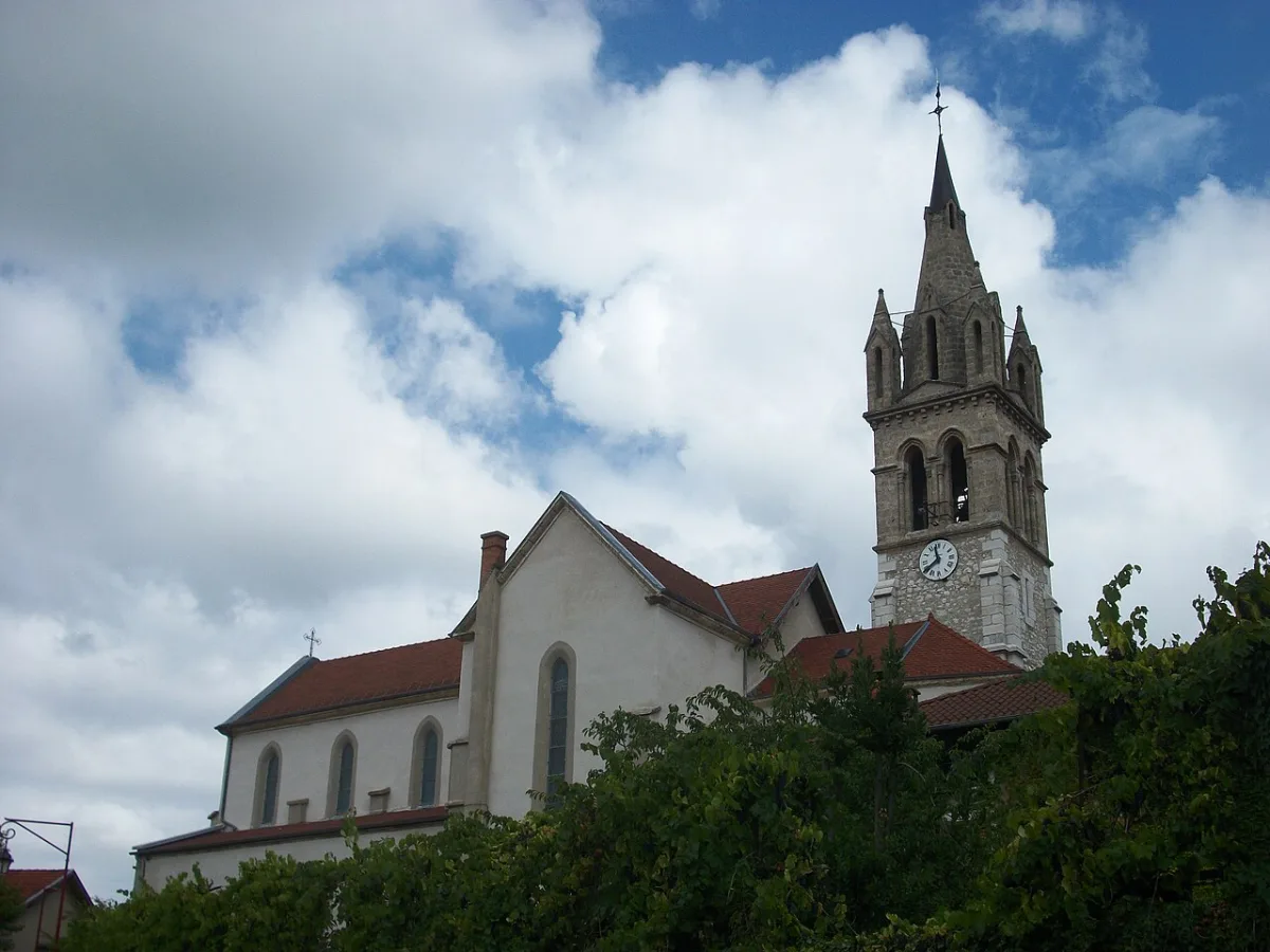 Jean-Baptiste (Saint Jean de Moirans), Saint Jean de Moirans