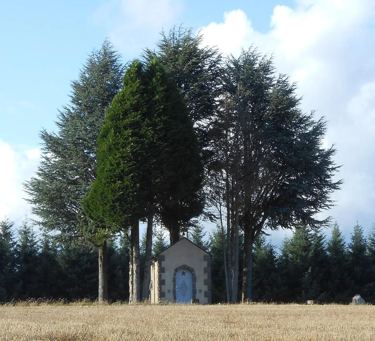Chapelle Notre-Dame des Blés (Chapelle Notre-Dame des Blés ), Gouttières